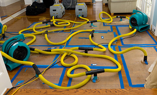 Professional Storm Water Damage Restoration technician working in Shannon, GA